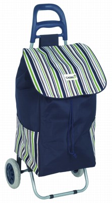 Caddie & shoppers