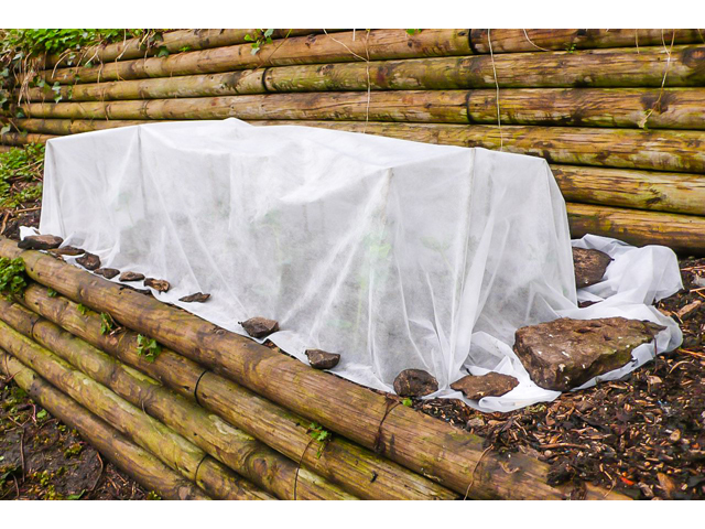 VOILE POUR HIVERNAGE 1X10M (TUBE) - 30G/M²