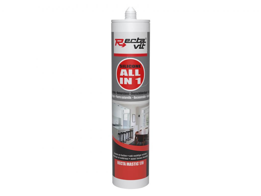 RECTA-MASTIC 170 ALL IN ONE 310ML