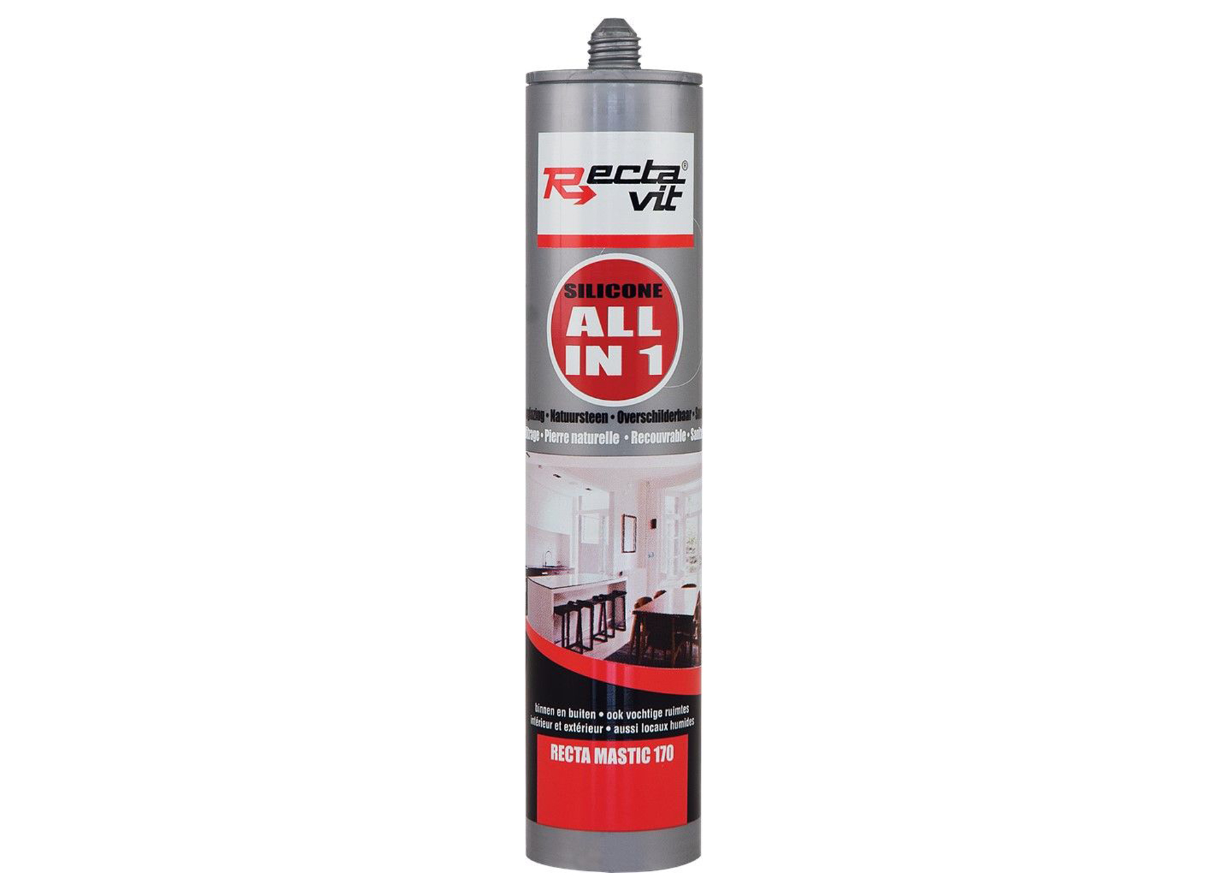 RECTA-MASTIC 170 ALL IN ONE NOIR (RAL 9005) NEUTRAL
