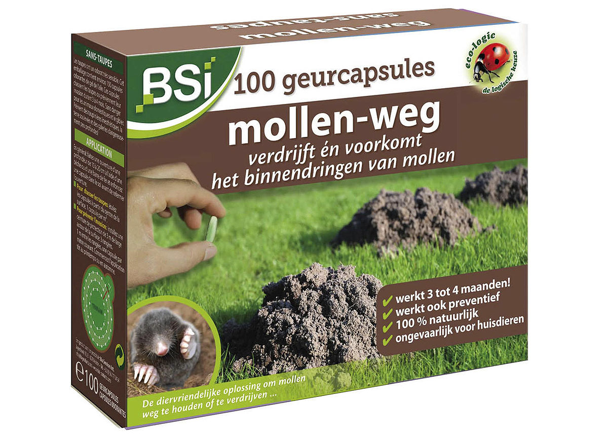 BSI MOLLEN-WEG - GEURBOLLEN 100 STUKS