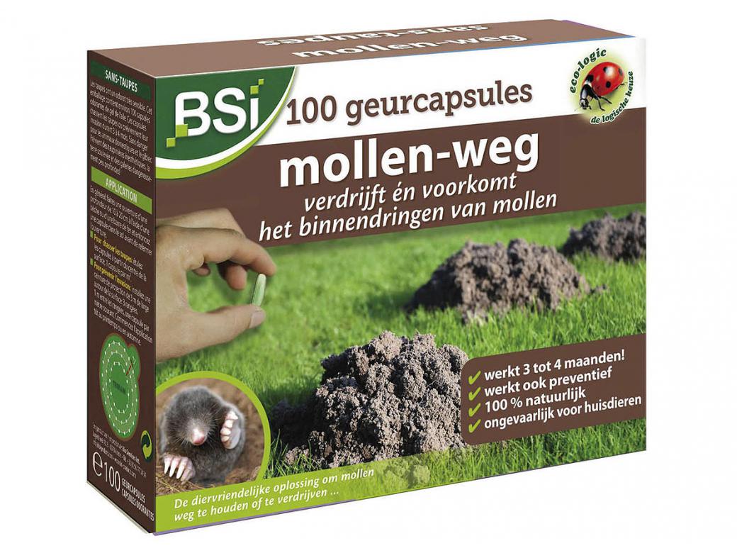BSI MOLLEN-WEG - GEURBOLLEN 100 STUKS
