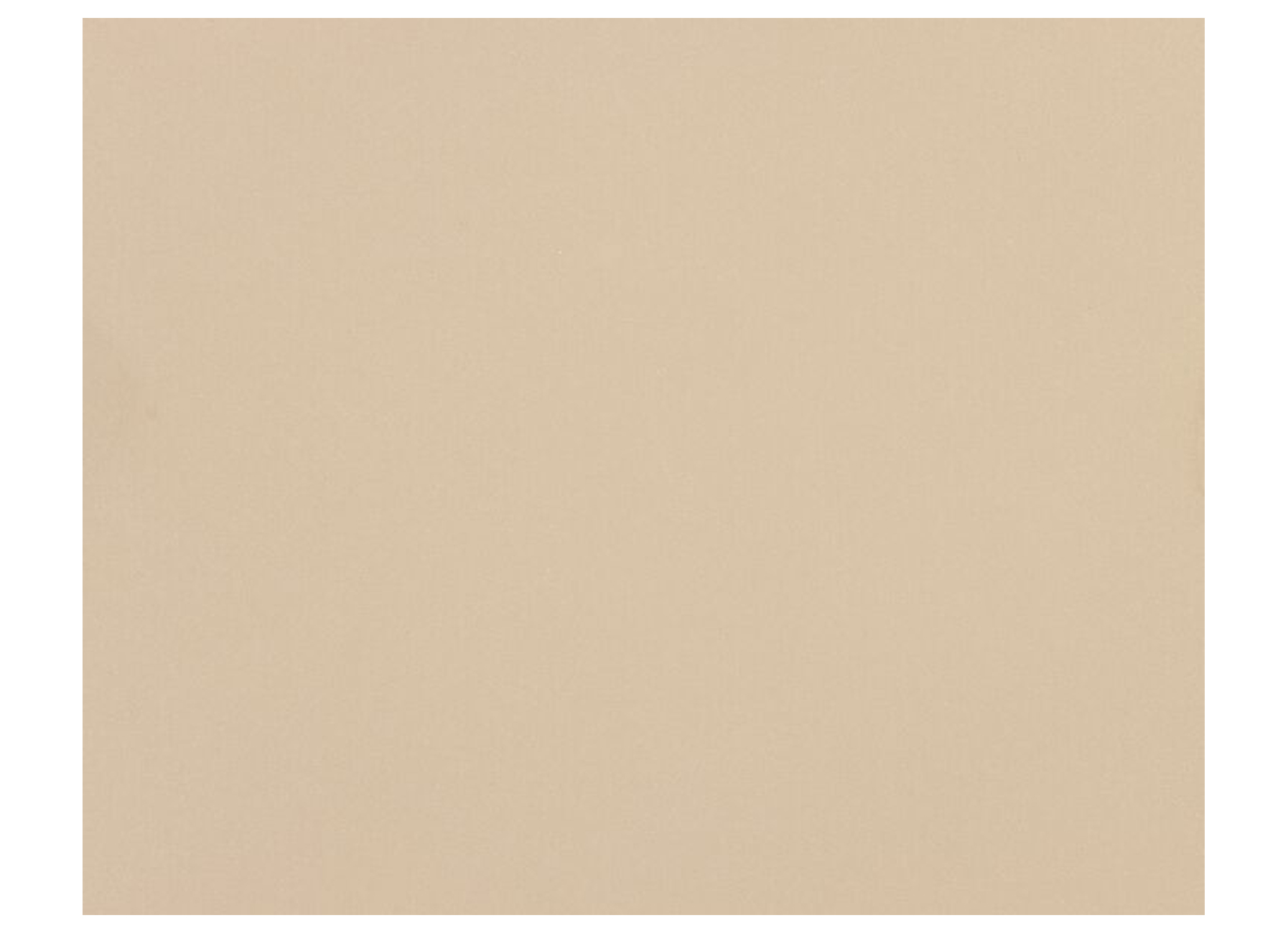 CANDO PANNEAU DE MEUBLE 18MM PEFC