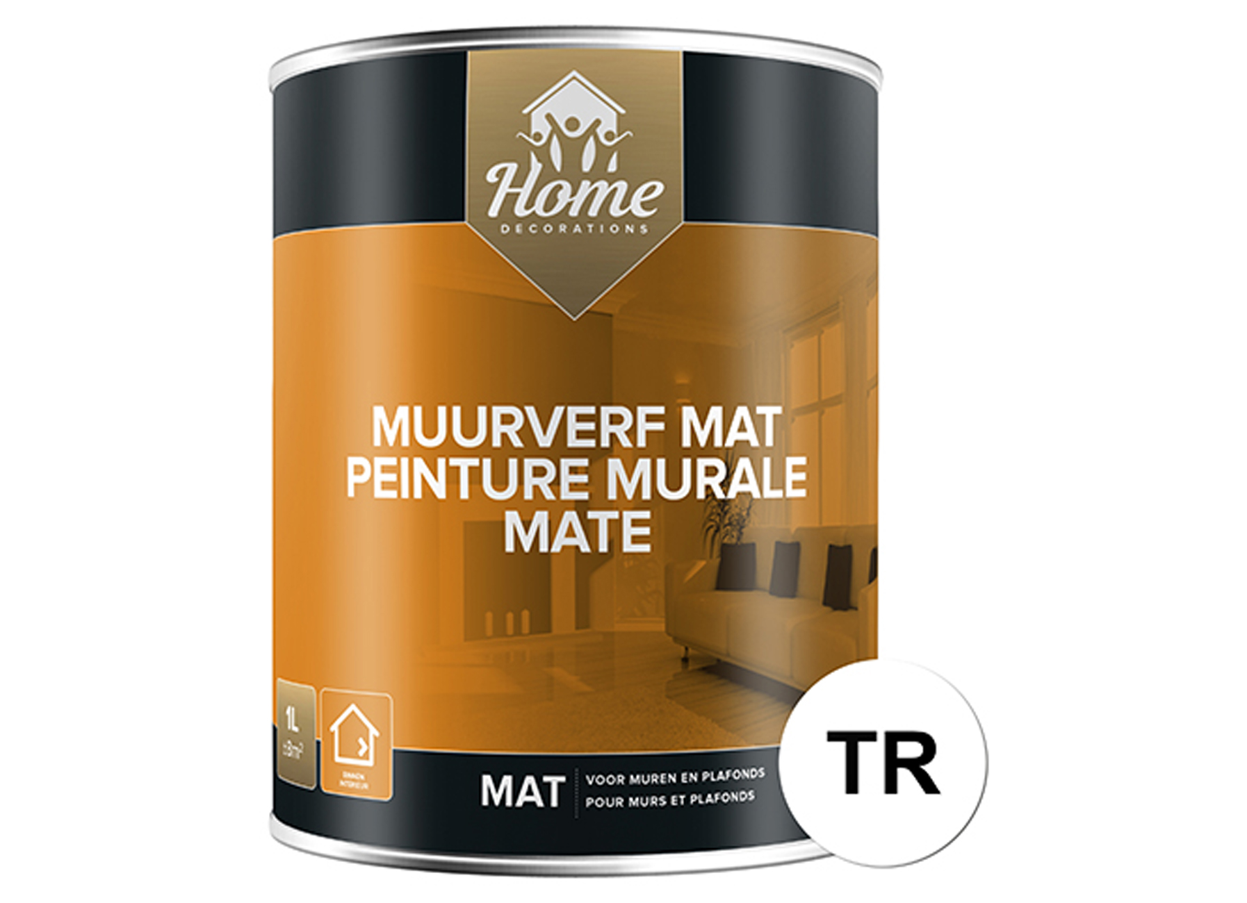HOME DECORATIONS PEINTURE MURALE MATE BASE