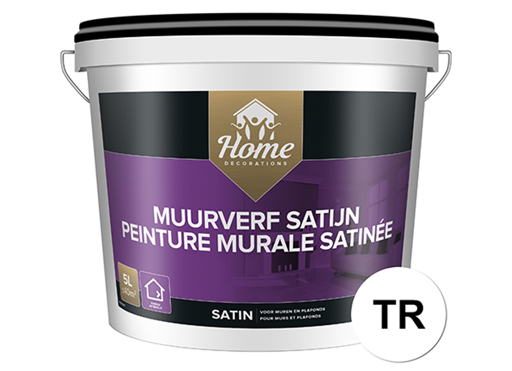 HOME DECORATIONS PEINTURE MURALE SATINEE BASE