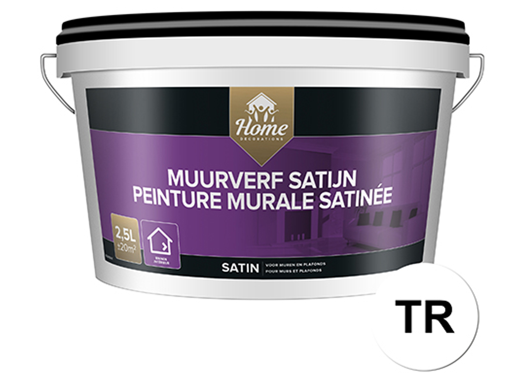 HOME DECORATIONS PEINTURE MURALE SATINEE BASE