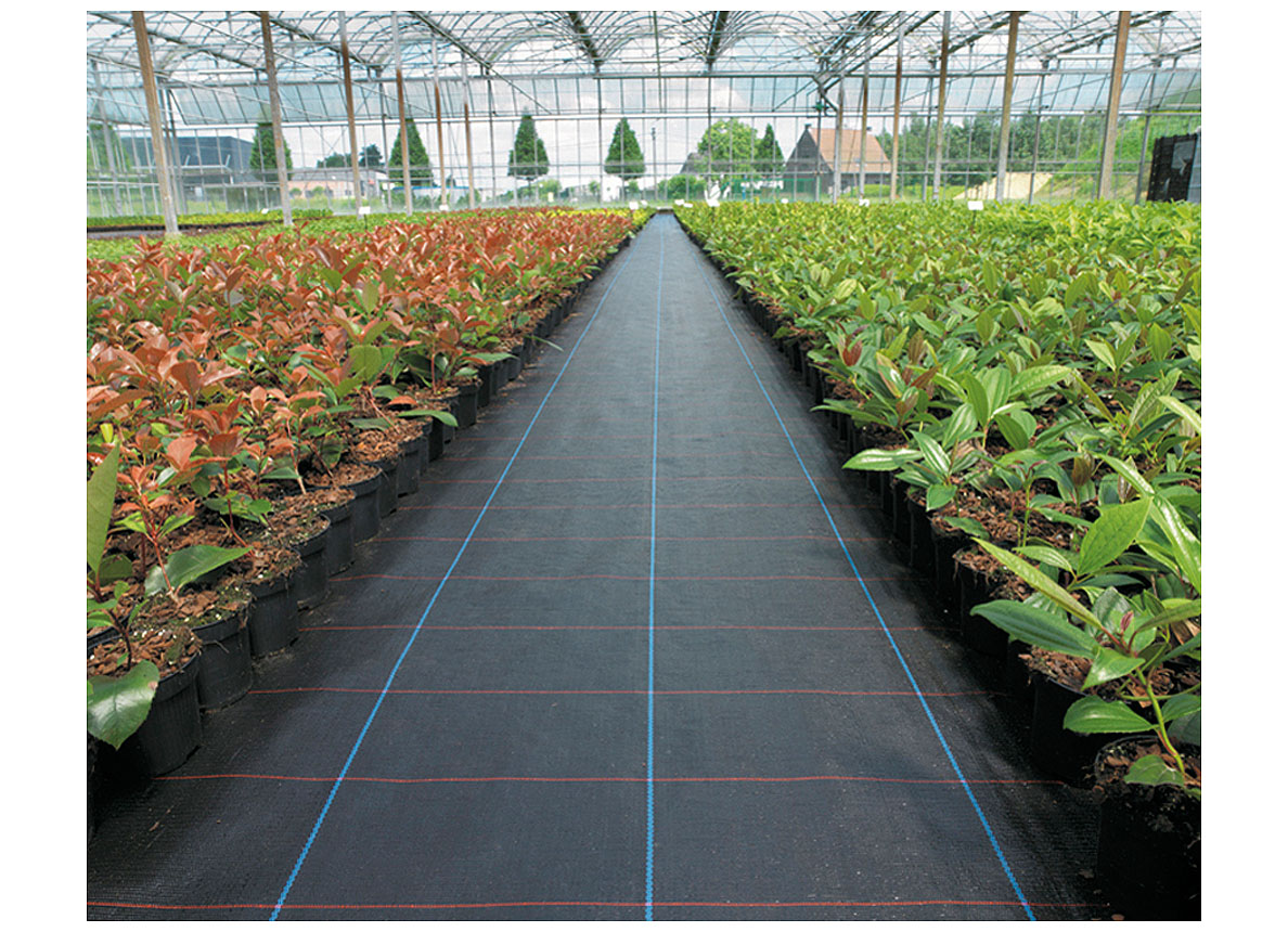 WORTELDOEK 100G/M2 4,15X100M (PER M)