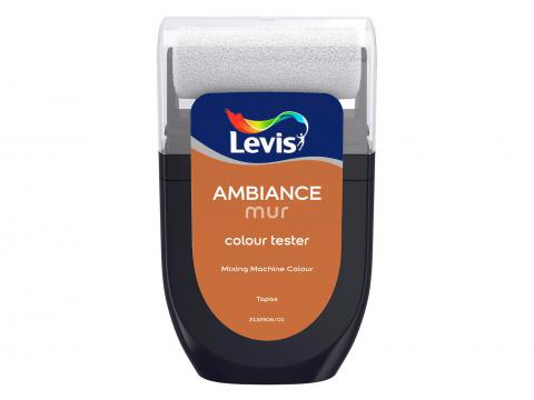 AMBIANCE MUR MAT TESTER - TAPAS 1653 30ML