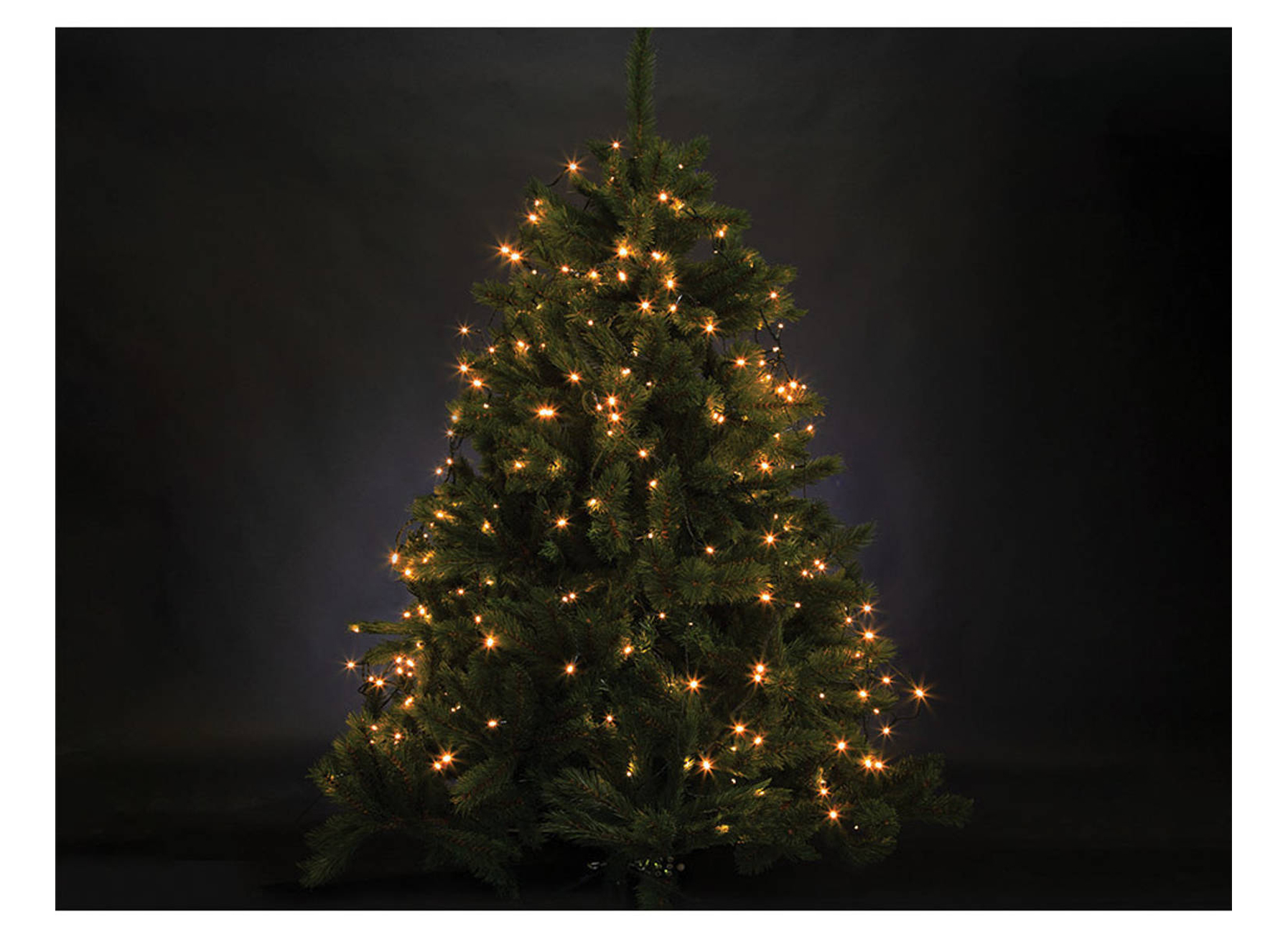 ECLAIRAGE DE NOEL ATRIA ARIZONA BLANC 1.8M 220 LEDS