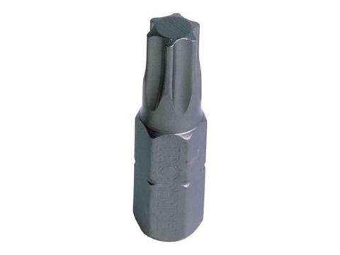 EMBOUTS TORX 25X25MM 10 PIECES