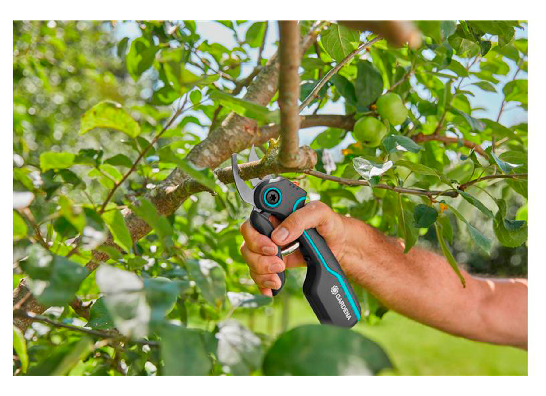 GARDENA SNOEISCHAAR ASSISTCUT