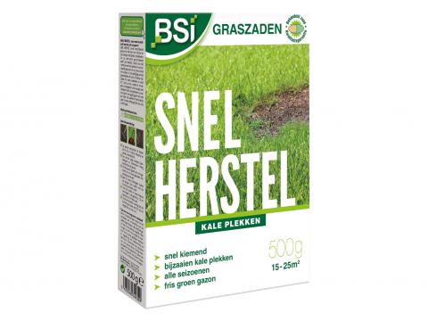 BSI SEMENCES GAZON REPARATION 500 G