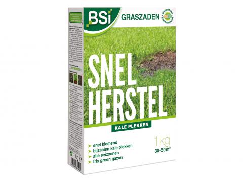 BSI SEMENCES GAZON REPARATION 1 KG