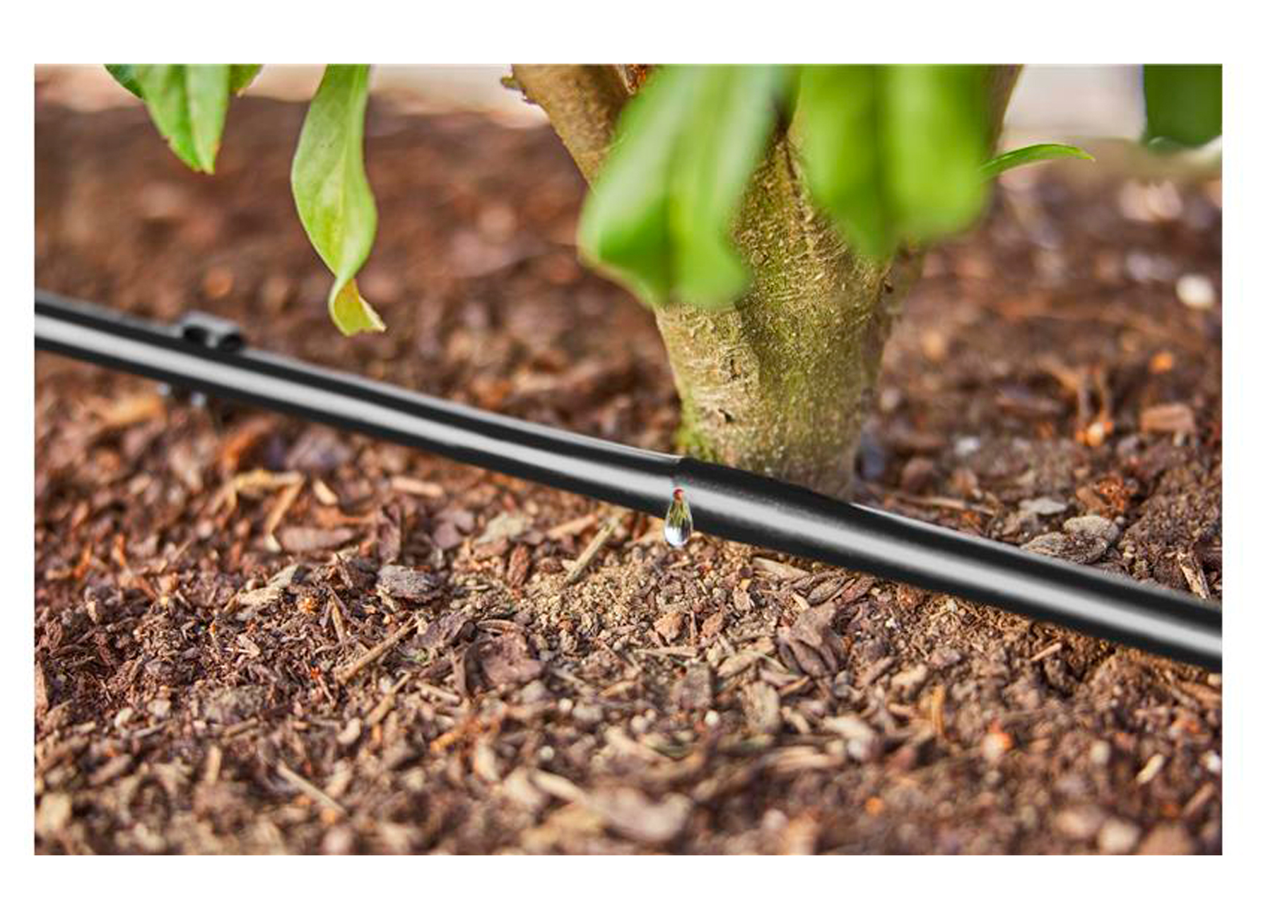 GARDENA MICRO-DRIP-SYSTEM IRRIGATION POUR HAIES ET BUISSONS 50M
