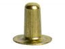 BUISRIVETTEN 9MM MESSING - BLISTER 6 STK