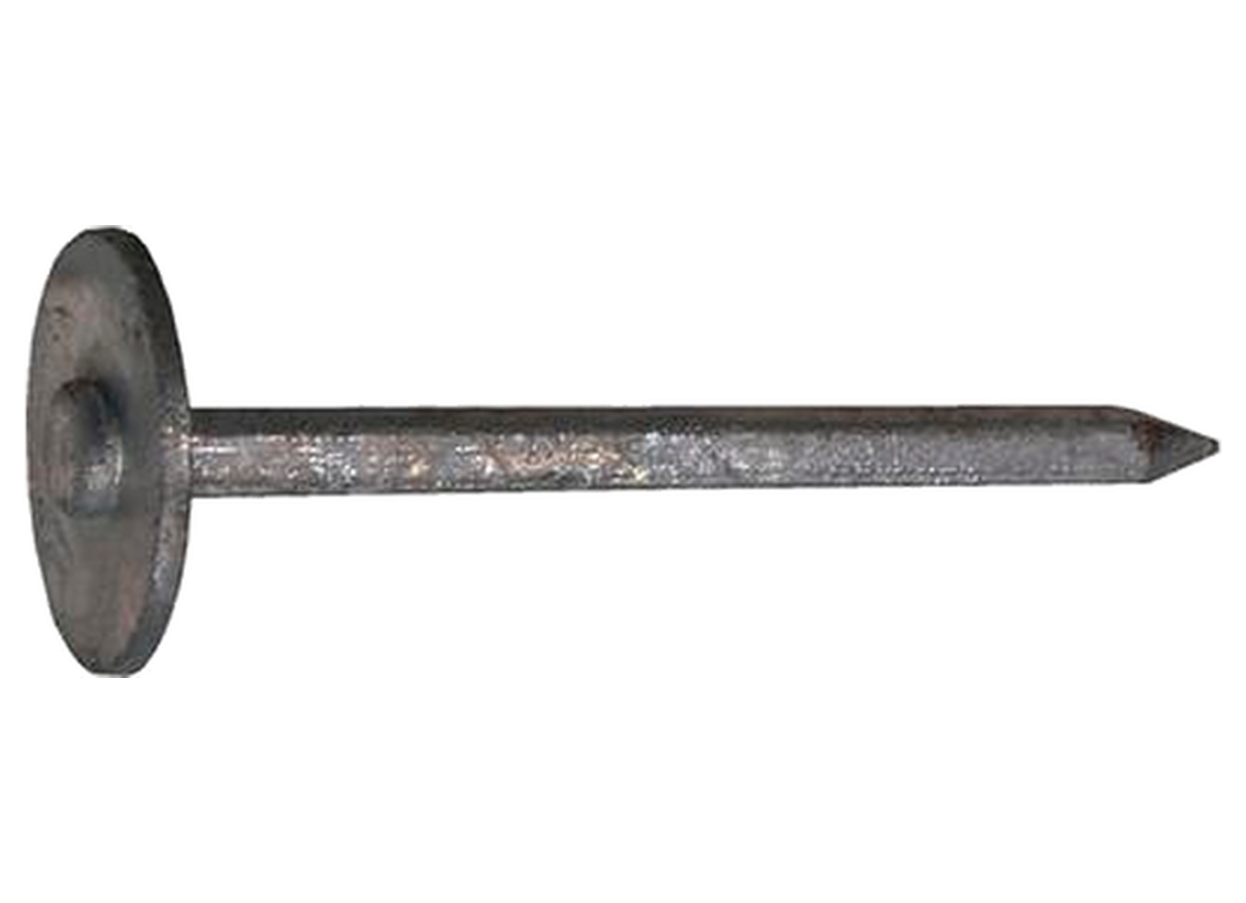 Stormnagels ronde kop Ø3,5 x 60 mm, verzinkt staal, 500 g