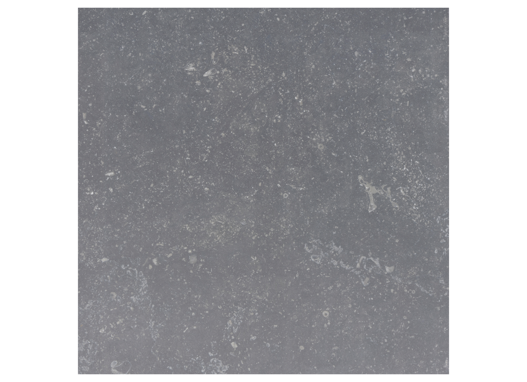 DALLE DE TERRASSE RECTIFIE BOUWPUNT COTTON CHARCOAL 2.0 60x60X2CM