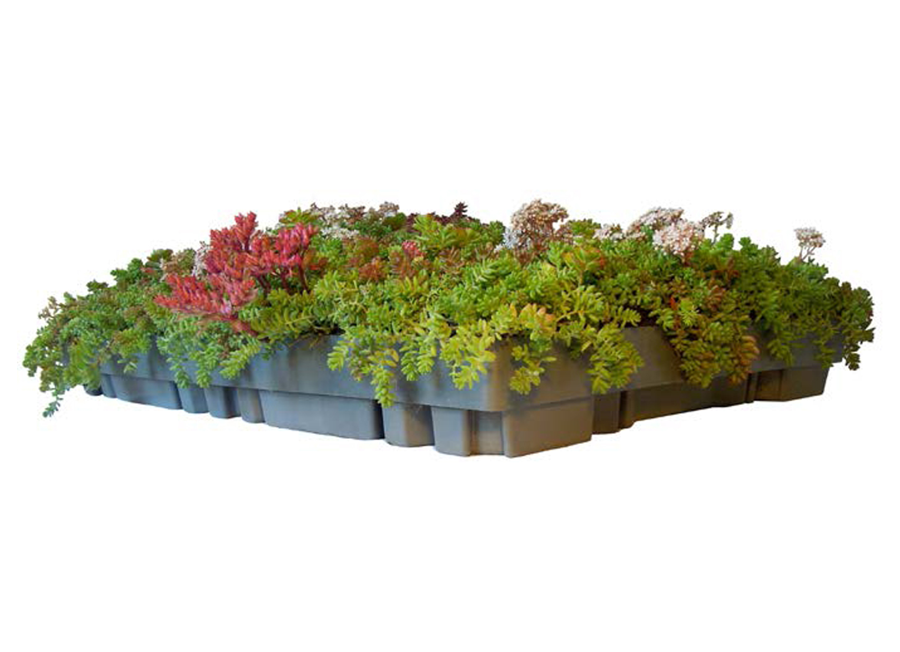 DERBISEDUM PACK LIGHT 40/60/7,5CM