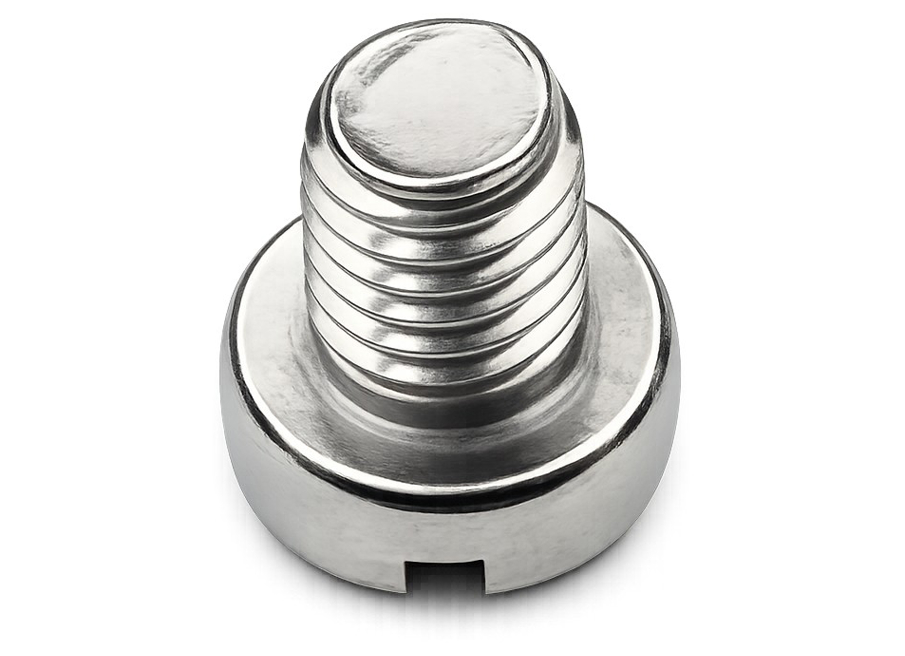 VIS POUR PATTE INOX