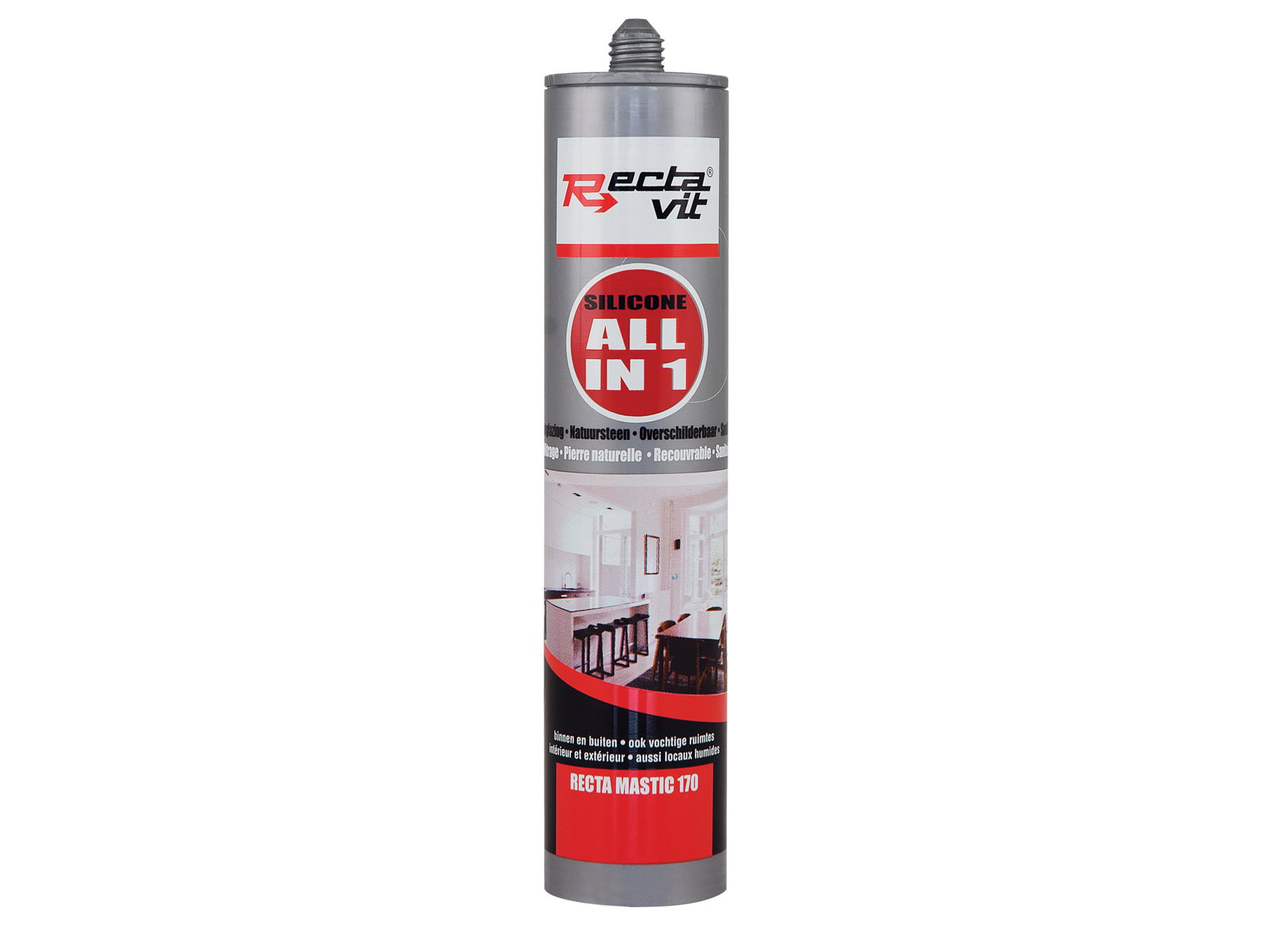 RECTAVIT RECTA-MASTIC 170 ALL IN ONE 310ML