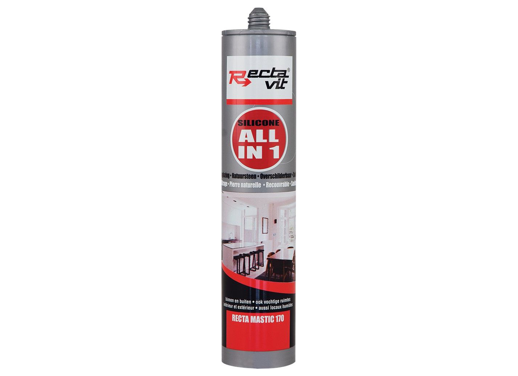 RECTA-MASTIC 170 ALL IN ONE 310ML