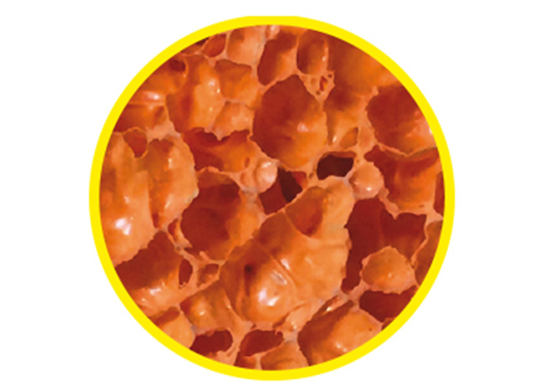 PINGUIN KUNSTSTOFSPAAN ORANJE SPONSRUBBER