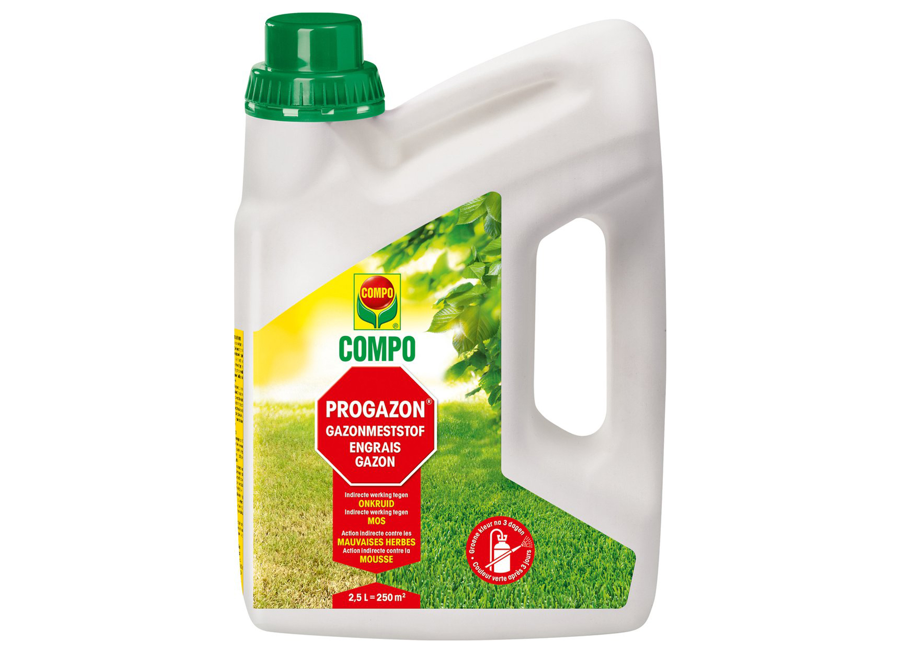 COMPO PROGAZON