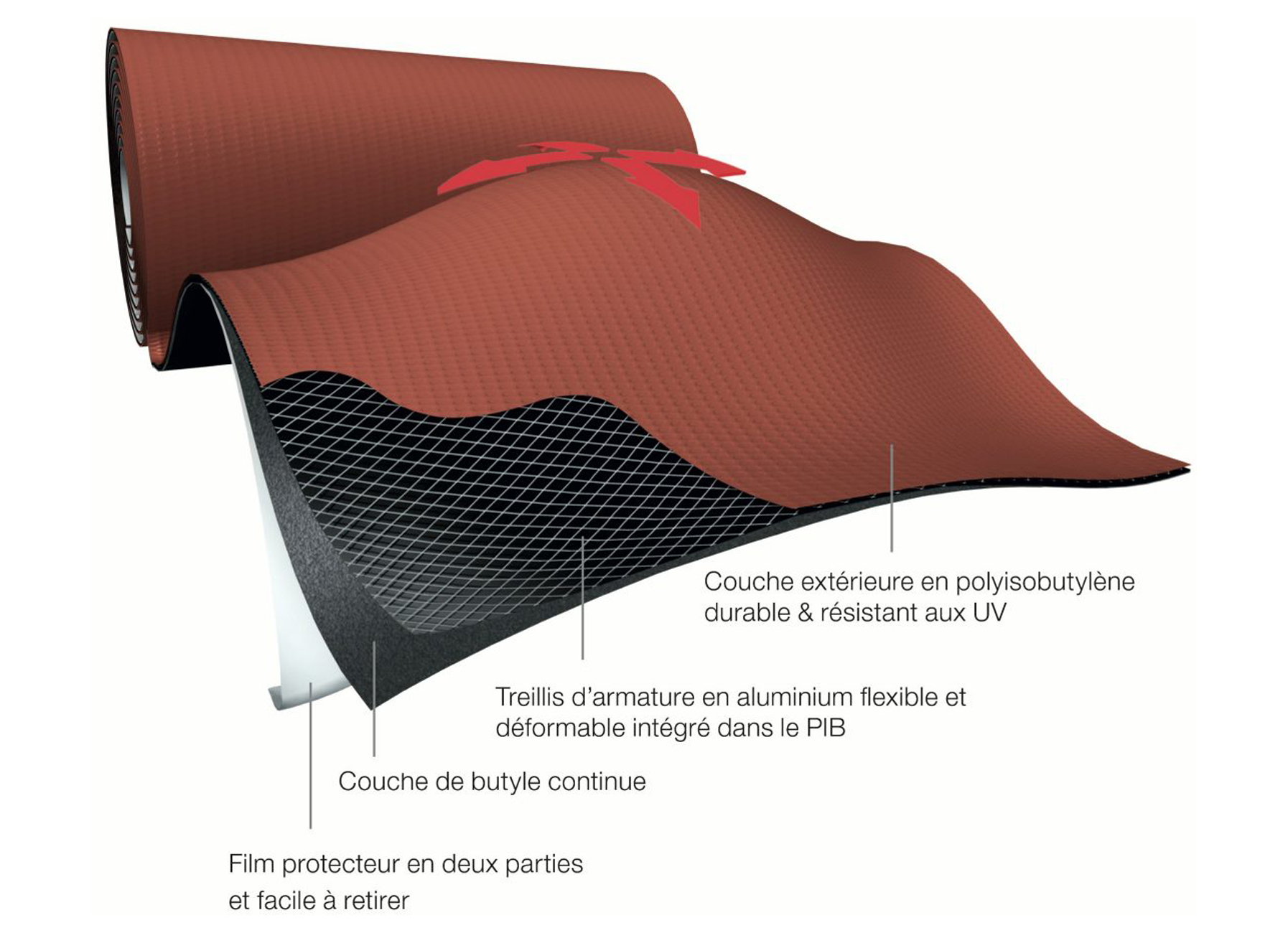 KORAFLEX PLUS