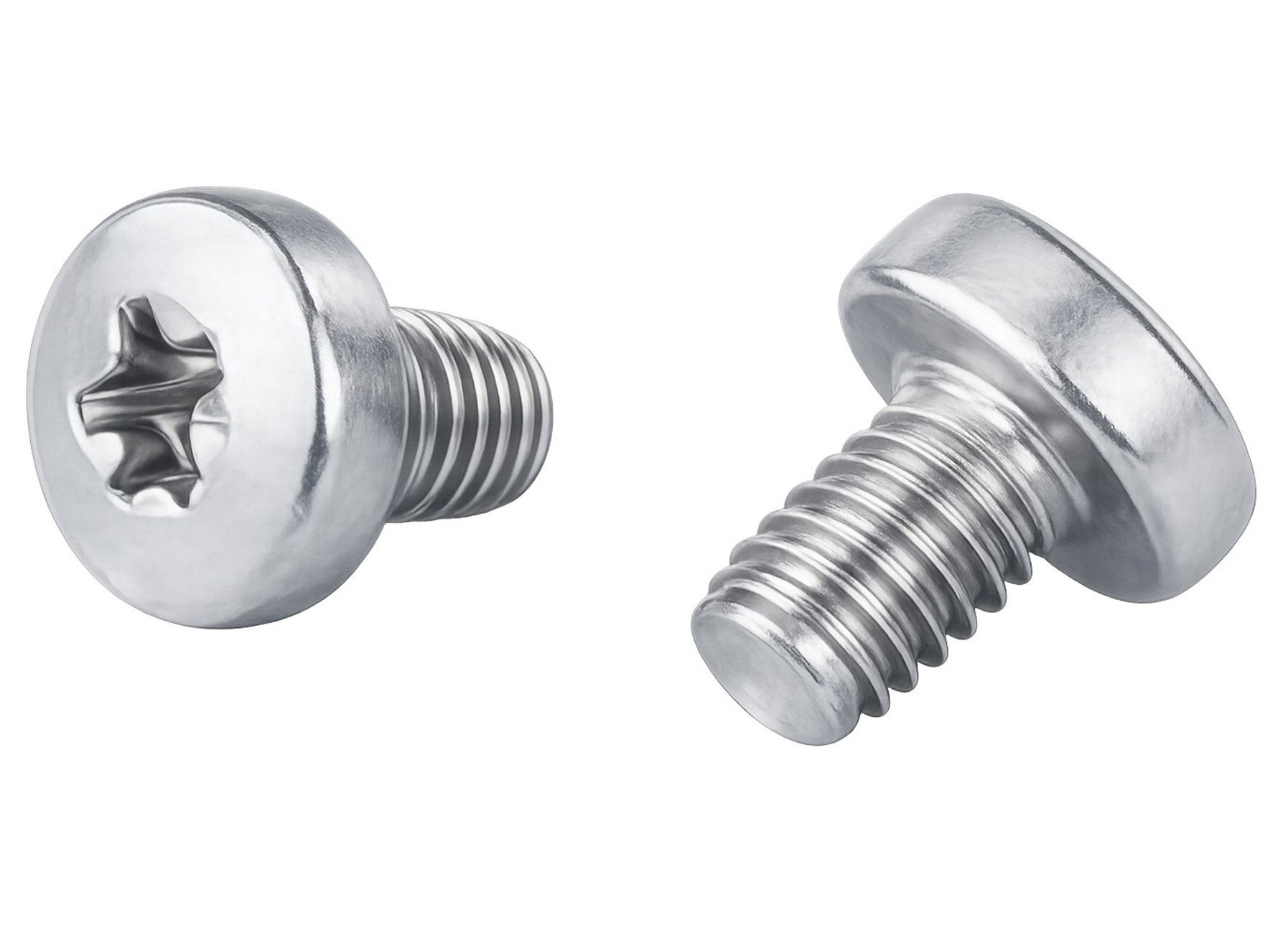 VIS TORX AUTOFORMEUSES POUR PATTE