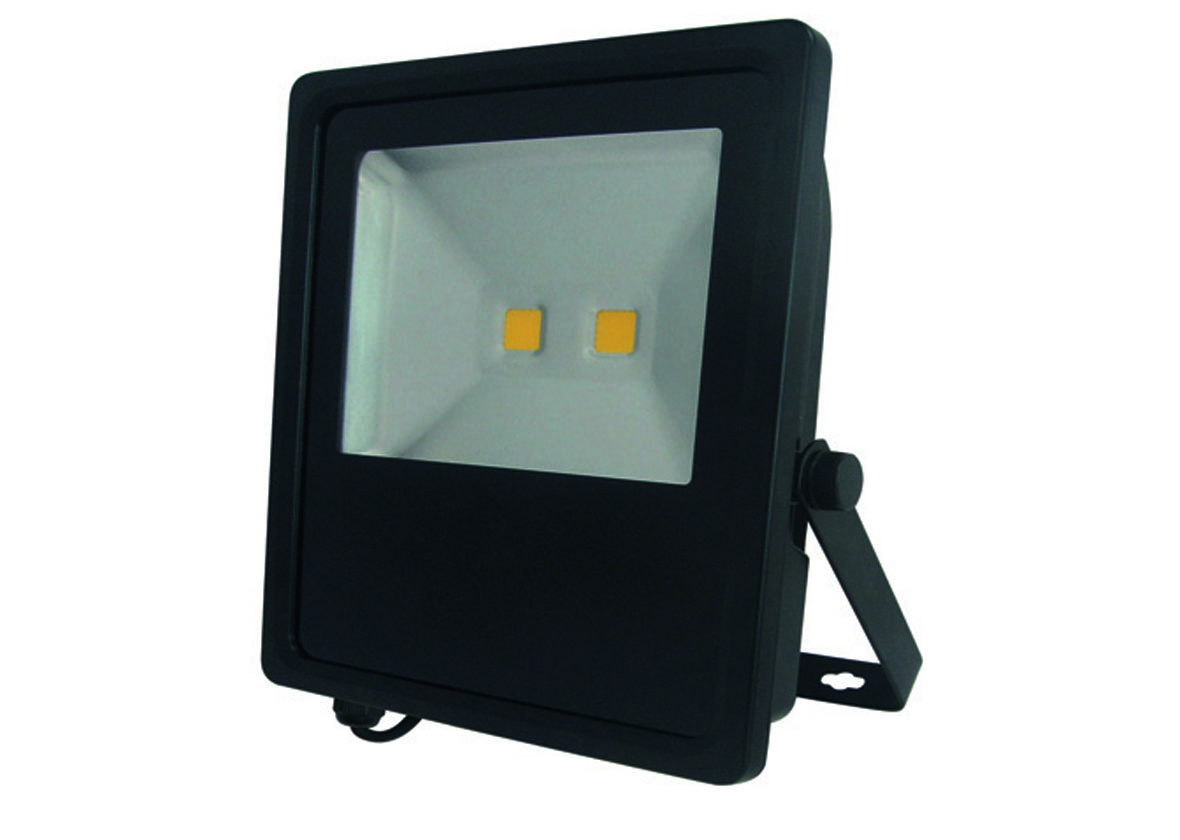 PROJECTEUR LED 70W + CABLE NOIR