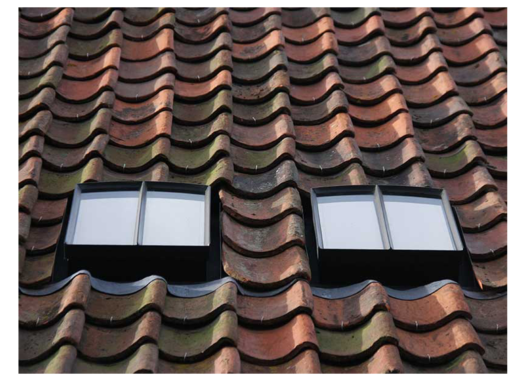 Tabatières rustiques