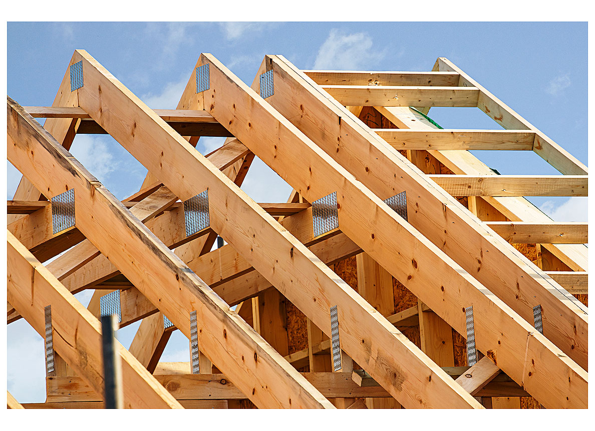 Epicéas,Pins, Douglas & Oregon