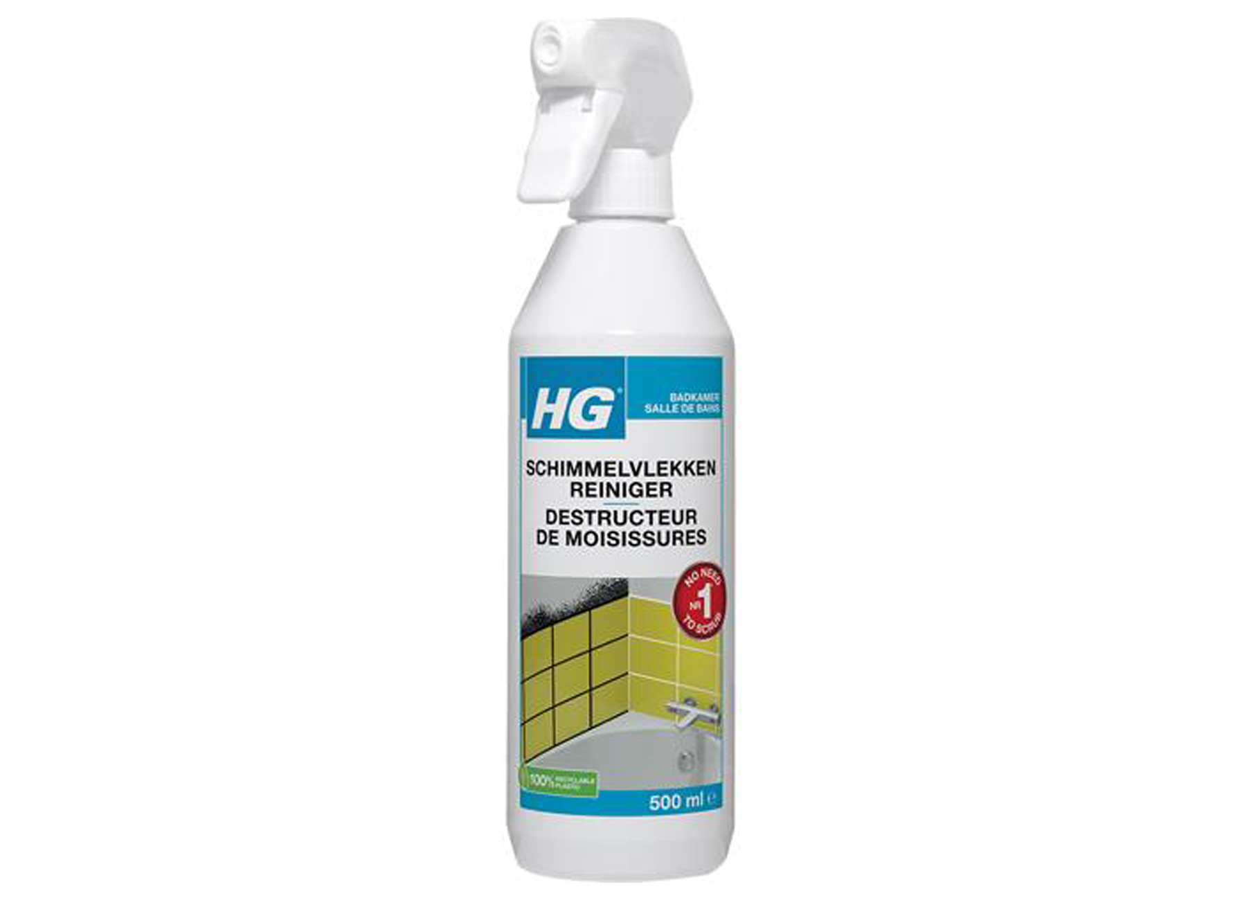 HG SCHIMMELVLEKKENREINIGER 500ML