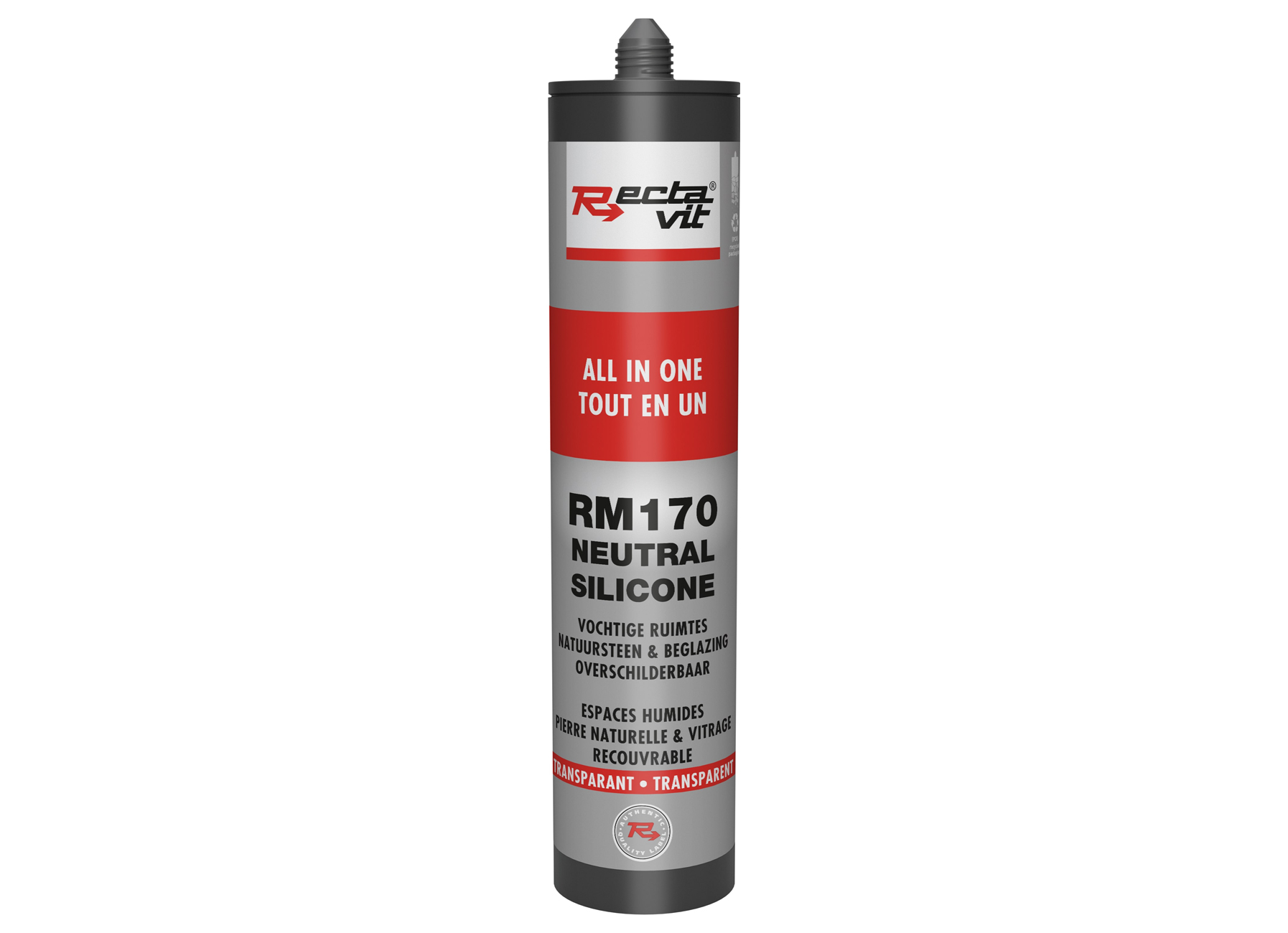 RECTA.MASTIC 170 ALL IN ONE TRANSPARENT 310ML