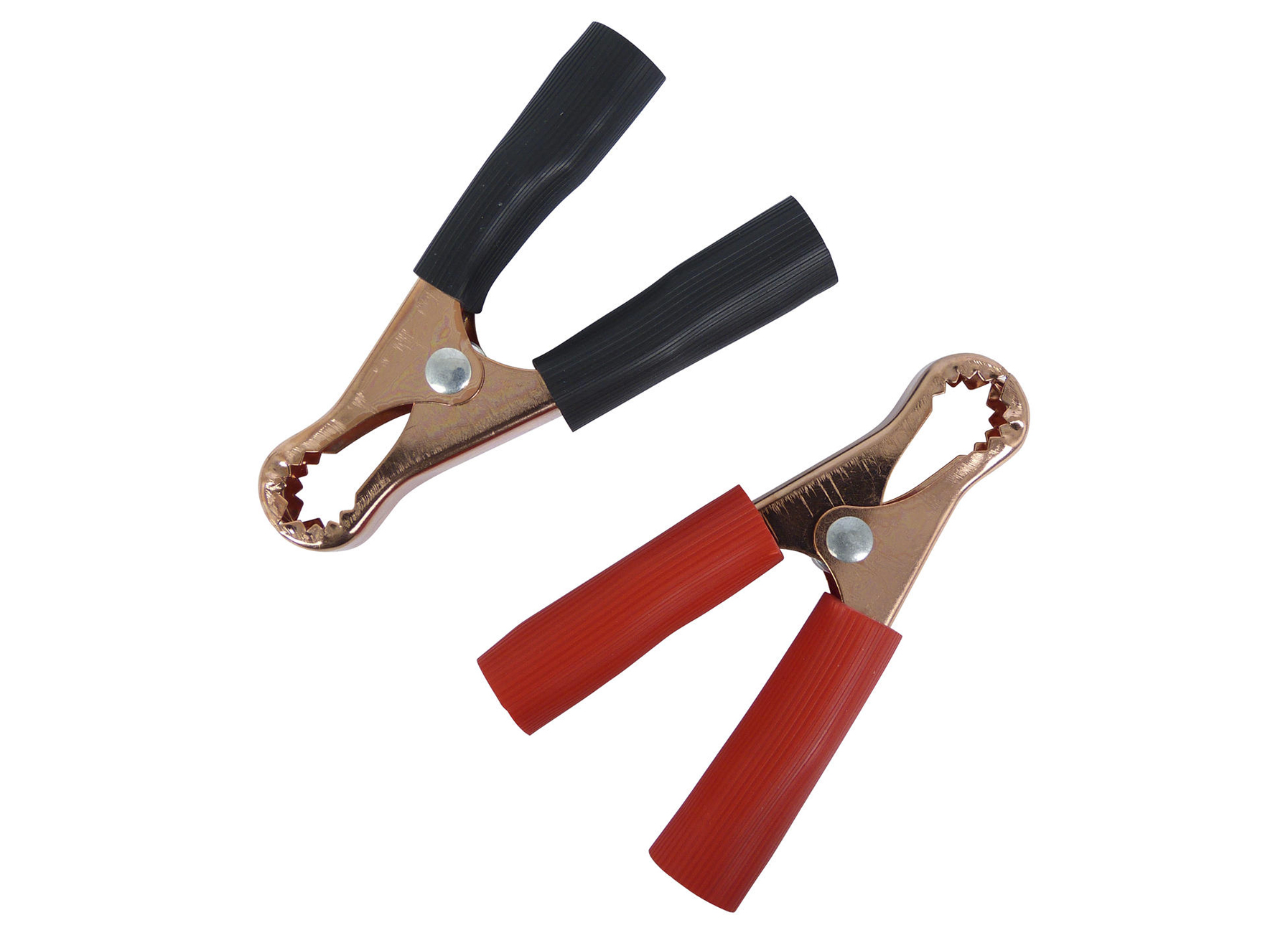 PINCES DE BATTERIE 50A 2 PIECES