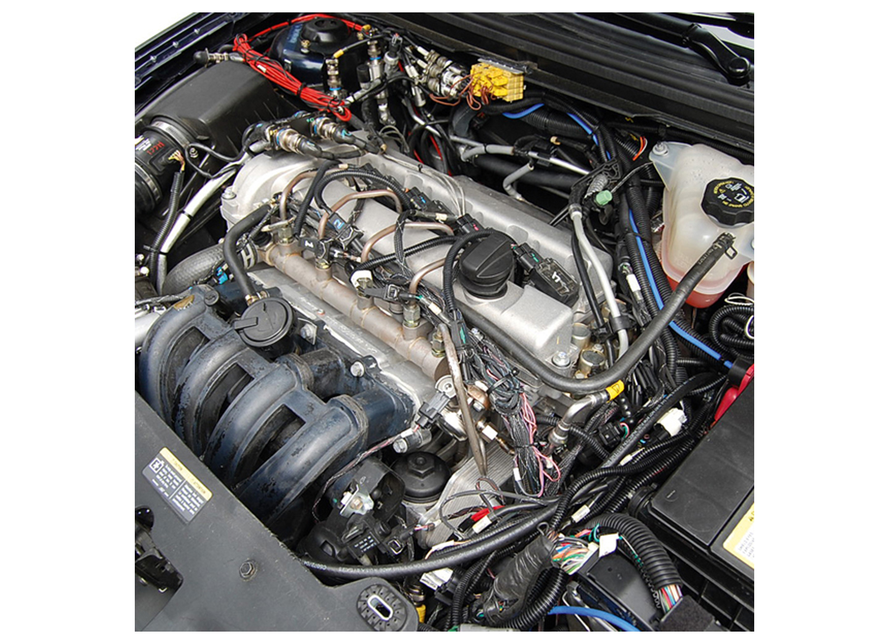 MARTERVERJAGER ULTRASONIC 12V