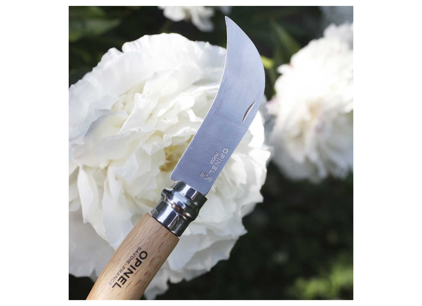 OPINEL SERPETTE INOX/HETRE 8CM