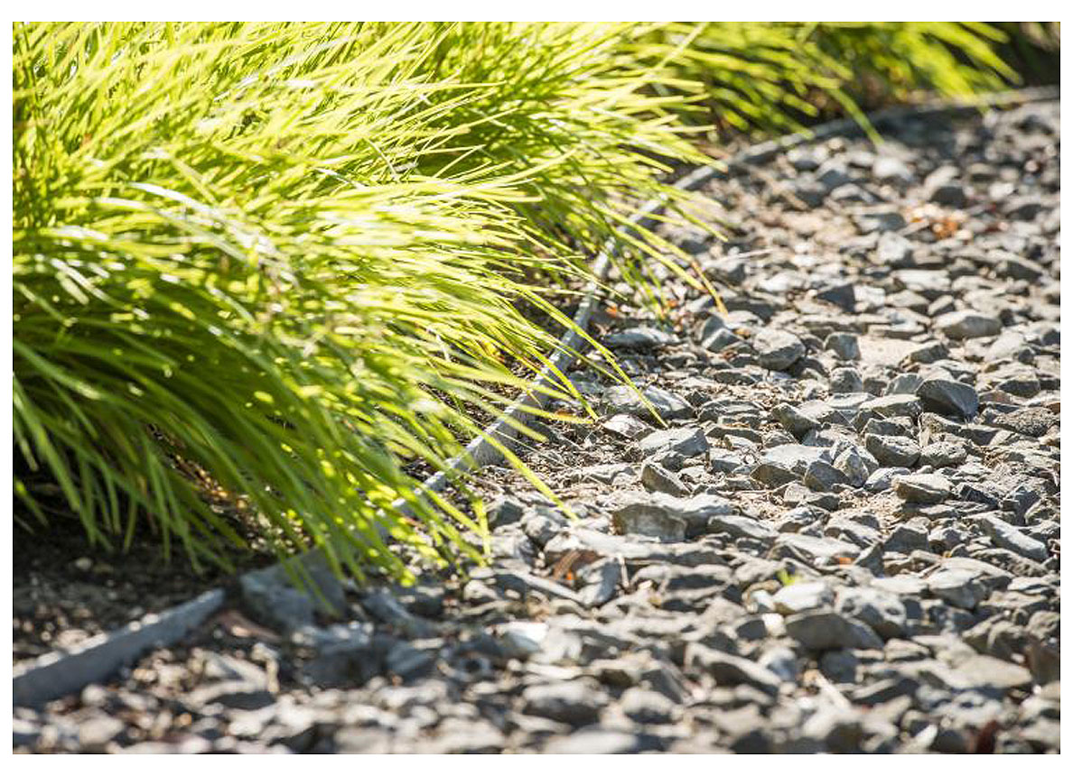 Ecolat Enroulee 7mm 14cm 18m Terrasses Bordures Ecolat