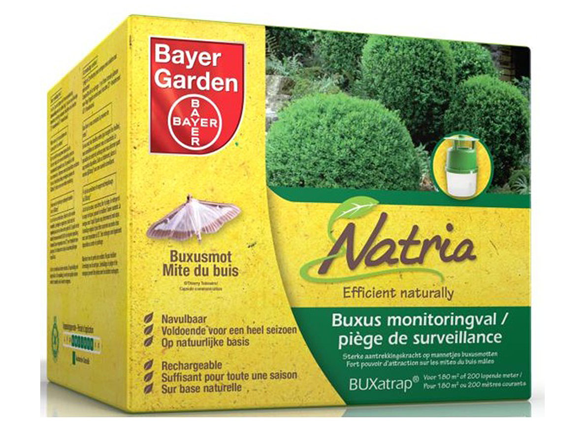 BAYER BUXATRAP PIEGE DE SURVEILLANCE