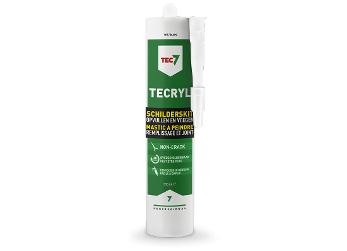 TEC7 TECRYL MASTIC A PEINDRE PROFESSIONNEL 310ML