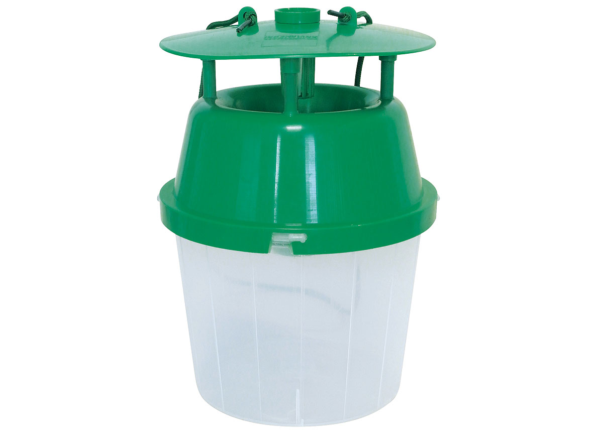 BSI PIEGE A PHEROMONES PYRALE DU BUIS DUO-PACK