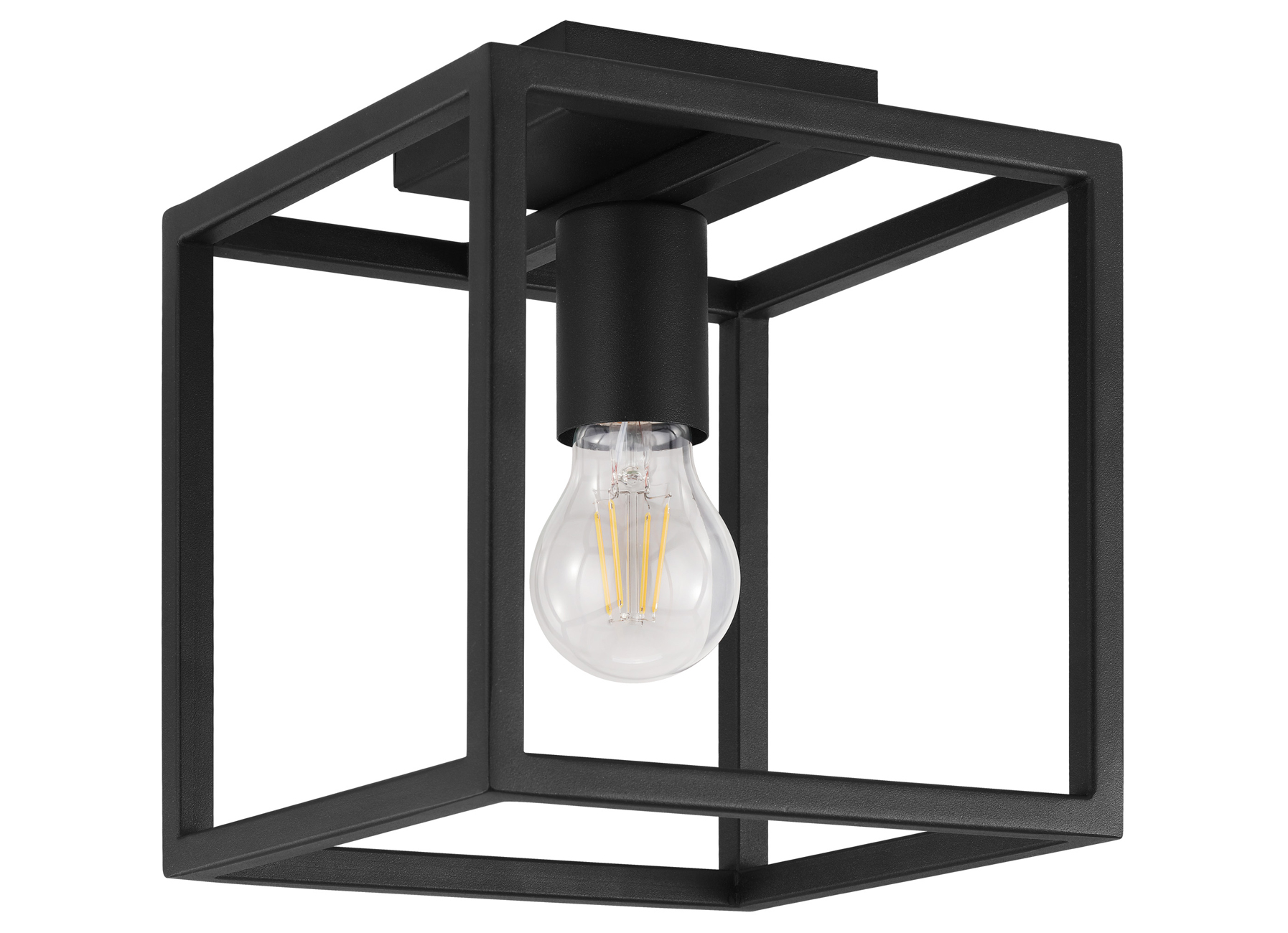 EGLO PLAFONDLAMP BLACKCROWN ZWART 1X40W