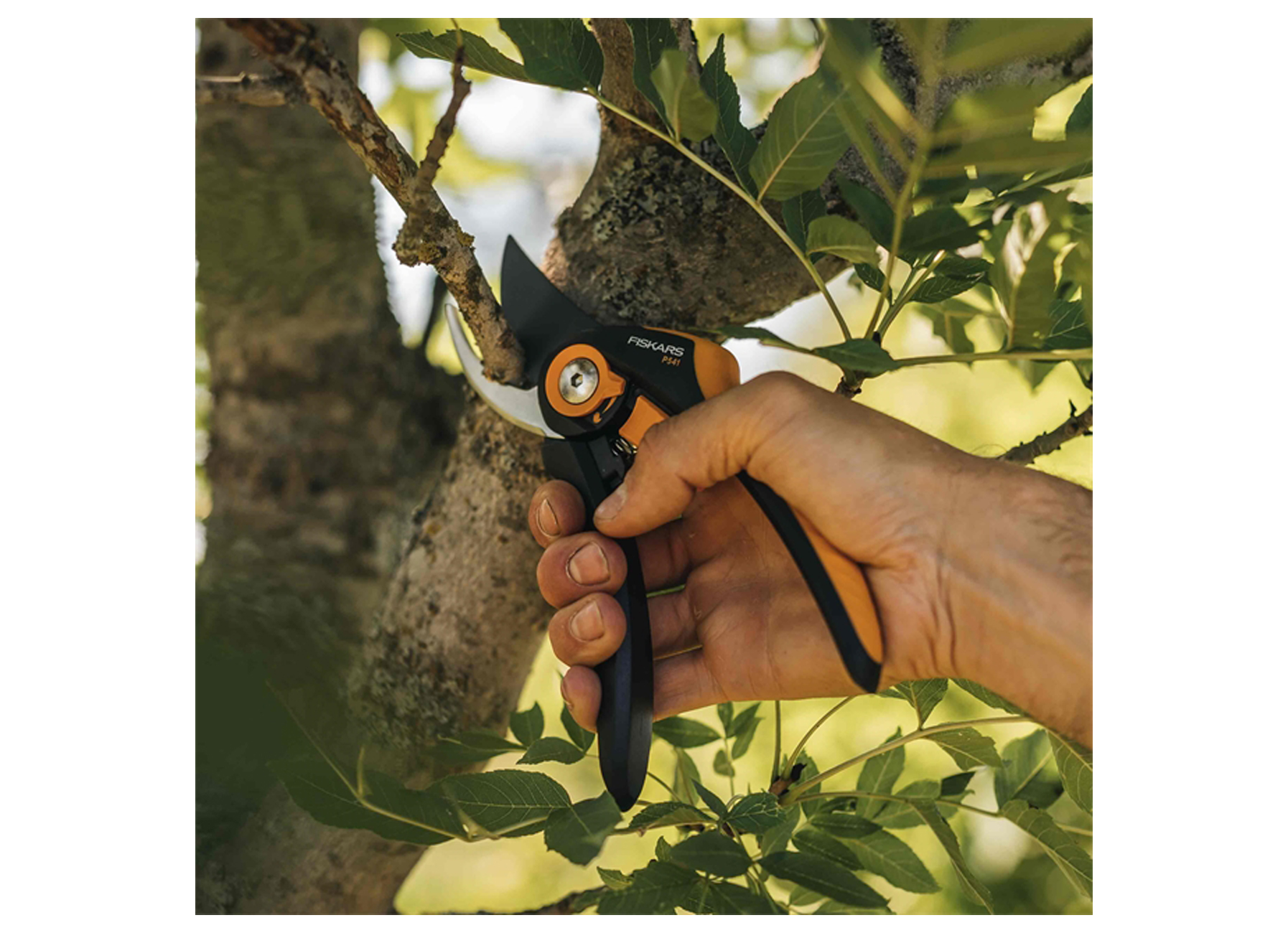 FISKARS SECATEUR A LAME FRANCHE SMARTFIT PLUS P541