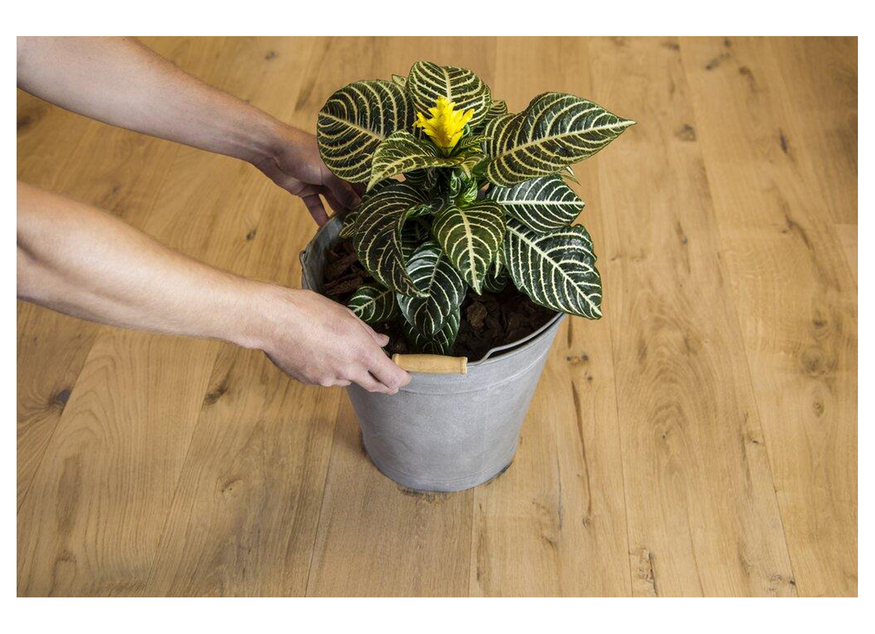 WOCA TANNIN SPOT REMOVER POUR CHENE SPRAY 250ML