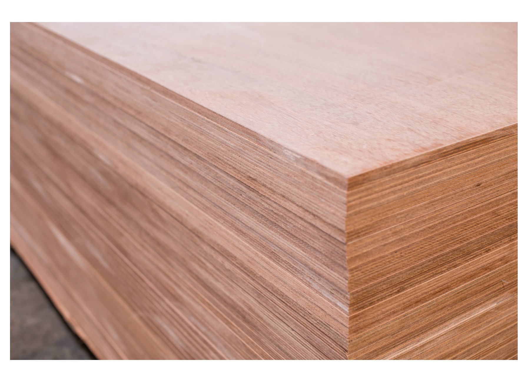 MUJUR INDO HARDWOOD BB/CC WBP CLASSE 3 250X125CM 18MM