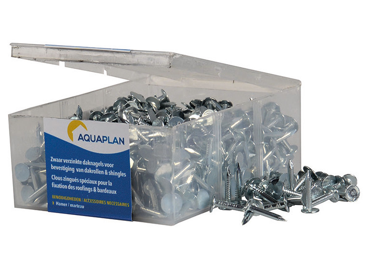 AQUAPLAN CLOUS DE TOITURE 1 KG