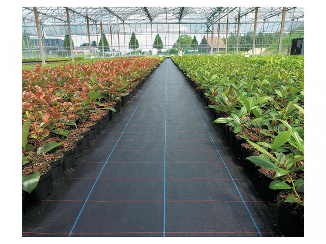 WORTELDOEK 100G/M2 ZWART (PER M)