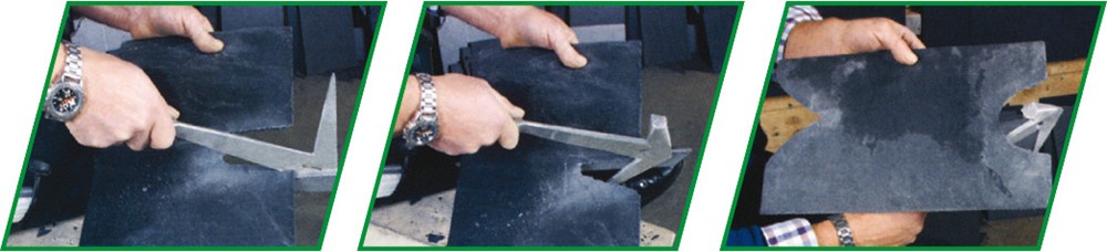 LEIDEKKERSHAMER DUITS MODEL RECHTS